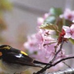 2012May